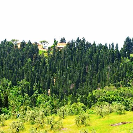 Agriturismo Martignana Alta 恩波利 外观 照片