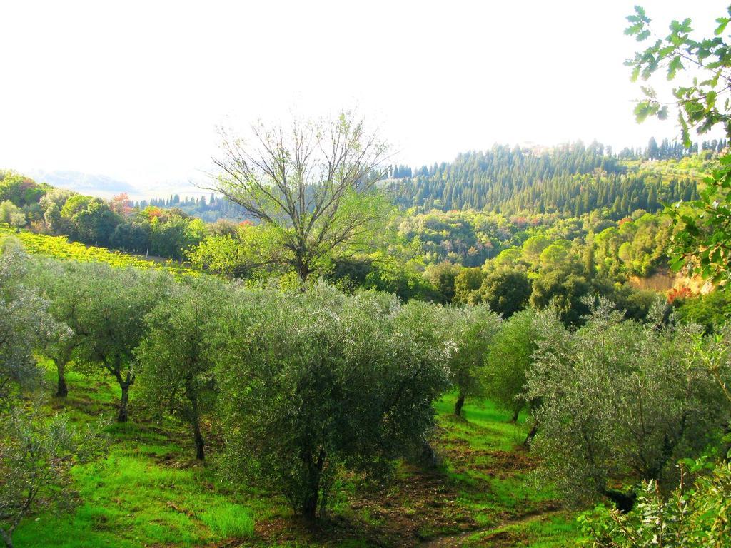 Agriturismo Martignana Alta 恩波利 外观 照片