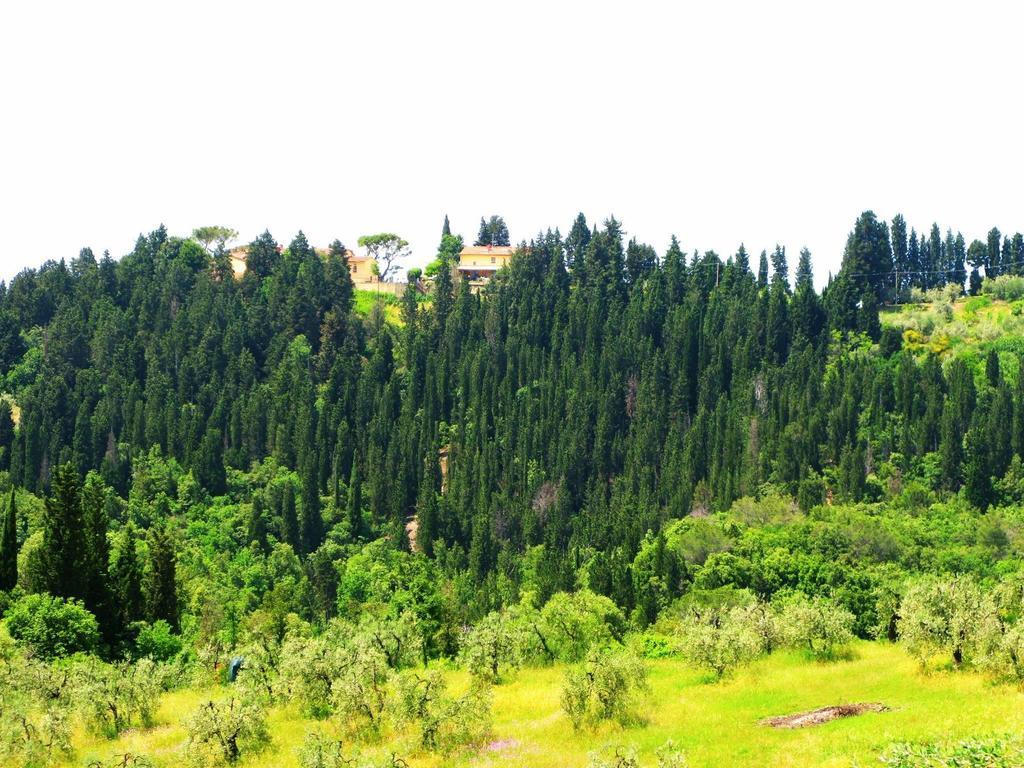 Agriturismo Martignana Alta 恩波利 外观 照片